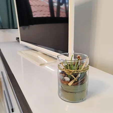 Apartmán Royal Vista Mar *
