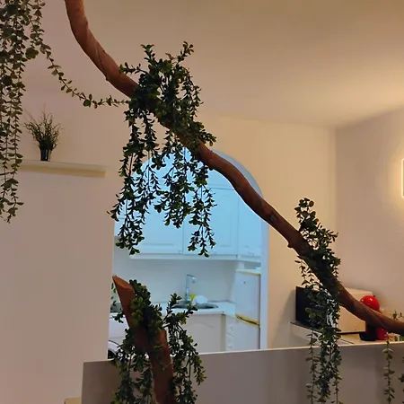 Apartment Royal Vista Mar