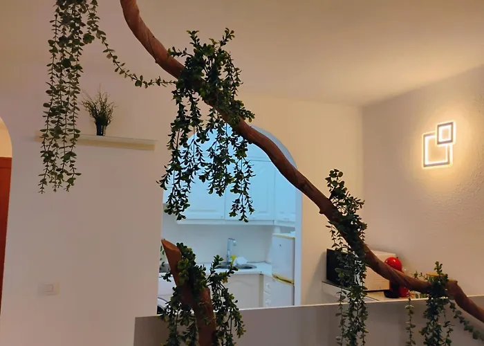 Apartament Royal Vista Mar